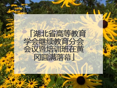 湖北省高等教育学会继续教育分会会议暨培训班在黄冈圆满落幕